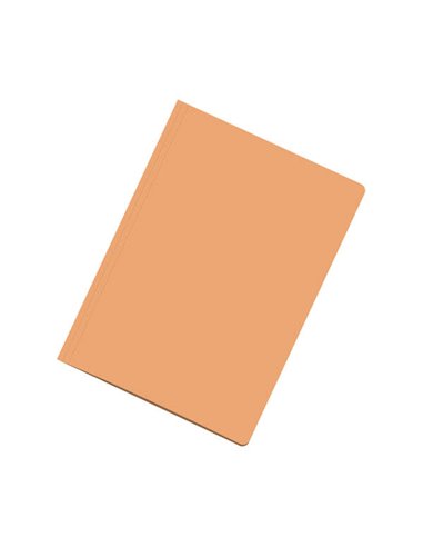 Sous-chemises Dohe en carton A4 180 g - avec fente de fixation - Idéales pour organiser vos documents