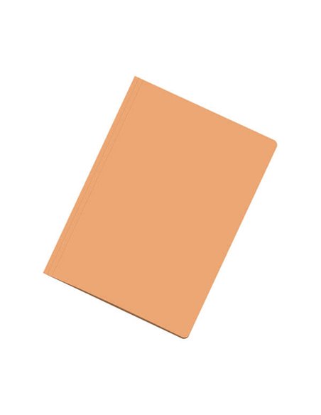 Sous-chemises Dohe en carton A4 180 g - avec fente de fixation - Idéales pour organiser vos documents