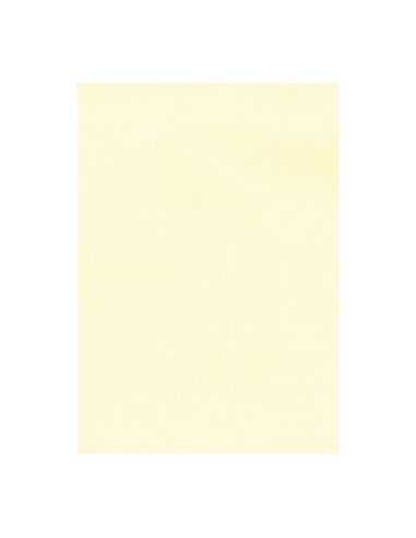 Lot de 20 feuilles de papier vergé Apli - Haute qualité - 220 g - Convient aux imprimantes et à l'écriture manuscrite - Couleur 
