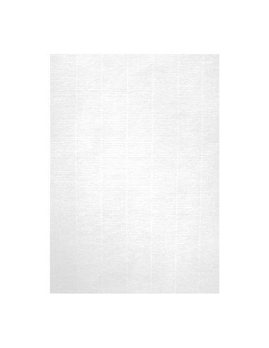 Pack de 100 feuilles de papier vergé A4 Apli - Haute qualité - 100 g - Compatible avec imprimantes jet d'encre, laser et photoco