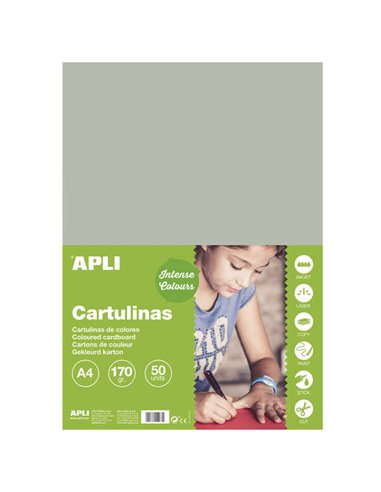 Papier cartonné gris Apli A4 170 g, 50 feuilles