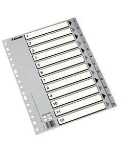 Index numérique en plastique Esselte - Onglets 1 à 12 - Multi-trous - Format Folio - Couleur grise