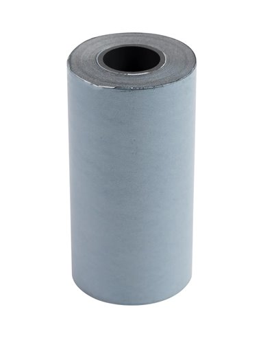 BOBINE THERMIQUE EXACOMPTA EXABLUE TPE 57X30MM 55G LONG. 9M IMPRESSION VERSO TRES LONGUE CONSERVATION BOITE 20 UNITES