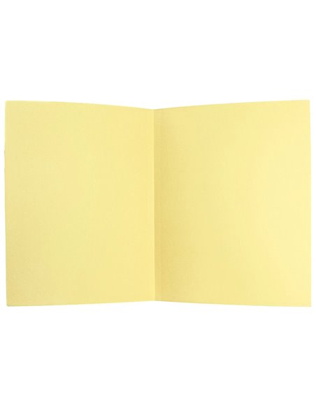 SOUS-CHEMISE LIDERPAPEL PAPIER CARTONNE 180G/M2 310X230MM DOCUMENT A4 COLORIS JAUNE PASTEL