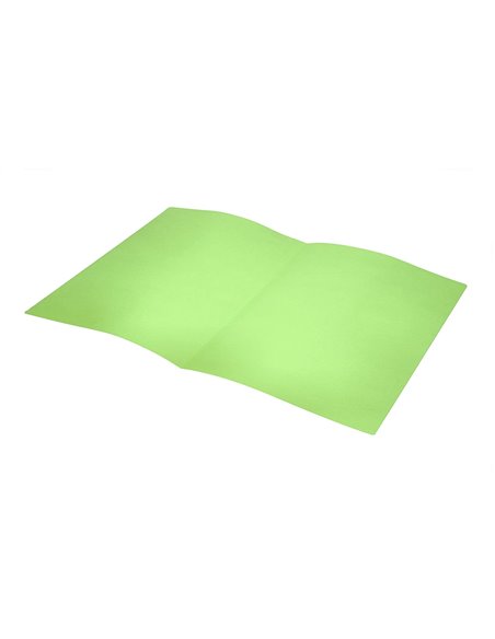 SOUS-CHEMISE LIDERPAPEL PAPIER CARTONNÉ 180G 310X230MM DOCUMENT A4 210X297MM COLORIS PASTEL VERT INTENSE
