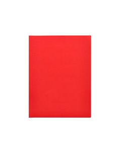 SOUS-CHEMISE LIDERPAPEL PAPIER CARTONNÉ 180G 310X230MM DOCUMENT A4 210X297MM COLORIS PASTEL ROUGE INTENSE 2