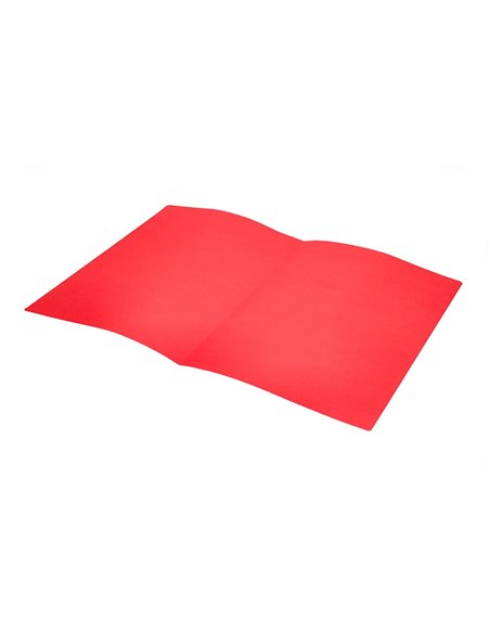 SOUS-CHEMISE LIDERPAPEL PAPIER CARTONNÉ 180G 310X230MM DOCUMENT A4 210X297MM COLORIS PASTEL ROUGE INTENSE