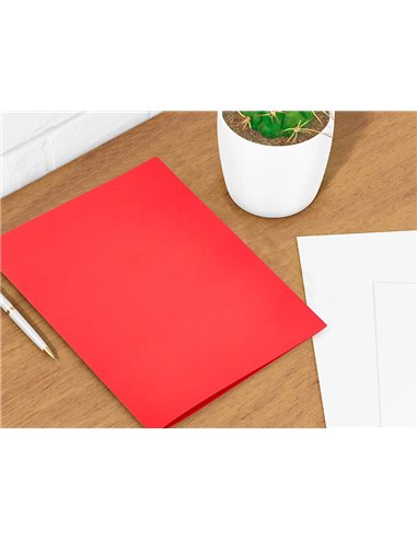 SOUS-CHEMISE LIDERPAPEL PAPIER CARTONNÉ 180G 310X230MM DOCUMENT A4 210X297MM COLORIS PASTEL ROUGE INTENSE