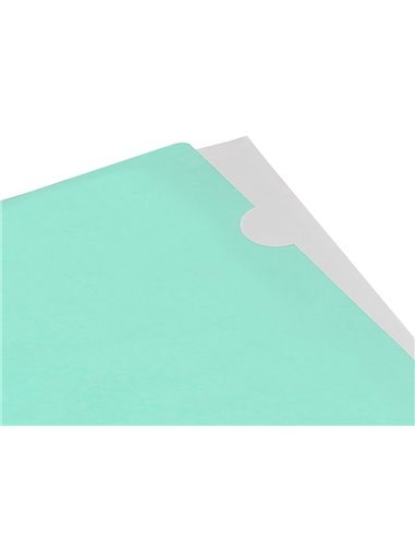 POCHETTE COIN LIDERPAPEL POLYPROPYLENE 180 MICRONS A4  210X297MM CAPACITE 20F  COLORIS VERT POMME OPAQUE