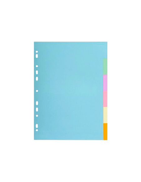 INTERCALAIRE EXACOMPTA CARTE FORTE RECYCLEE 170GR 17X22CM  6 POSITIONS COLORIS PASTEL