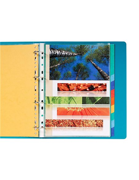 INTERCALAIRE Q-CONNECT CARTE LUSTRÉE 225G 12 POSITIONS A4 210X297MM