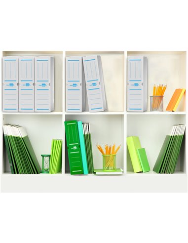 BOITE A ARCHIVES LIDERPAPEL POLYPROPYLENE ONDULE DOS  100MM 360X100X260MM COLORIS BLANC
