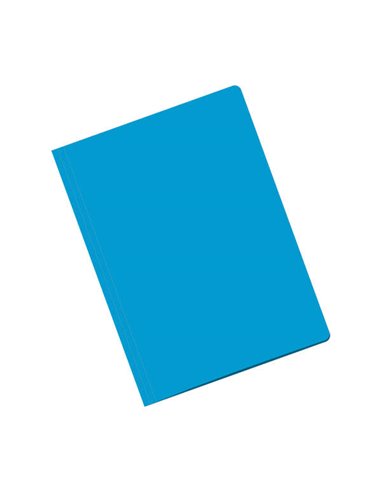 Sous-chemises Dohe en carton 180 g/m² - avec fente de fixation - Idéales pour organiser vos documents - Solides et durables