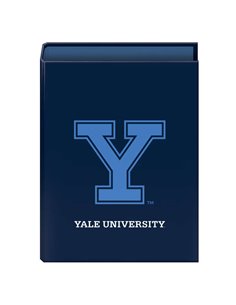 Chemise cartonnée Dohe doublée de papier imprimé - Format Folio 264 x 340 x 60 mm - 4 anneaux nickelés mixtes de 40 mm