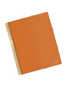 Chemise Dohe 30 pochettes A4 - Couverture en polypropylène opaque 800 microns - Pochettes transparentes 80 microns - Spirale en 