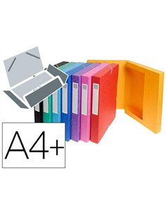 BOÎTE CLASSEMENT EXACOMPTA NATURE FUTURE CARTE LUSTRÉE 7/10E A4+ 240X320MM DOS 60MM 600G COLORIS ASSORTIS 10 UNITÉS