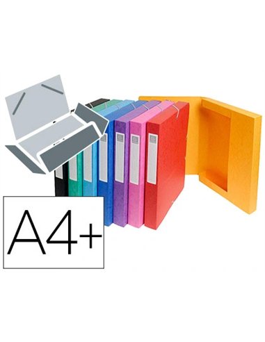 BOÎTE CLASSEMENT EXACOMPTA NATURE FUTURE CARTE LUSTRÉE 7/10E A4+ 240X320MM DOS 60MM 600G COLORIS ASSORTIS 10 UNITÉS