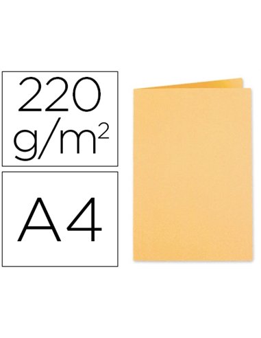 CHEMISE EXACOMPTA FOREVER CARTE RECYCLÉE 220G A4 24X32CM COLORIS BULLE PAQUET 100 UNITÉS