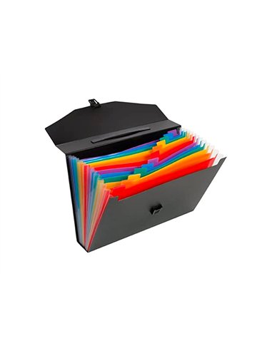 VALISETTE TRIEUR VIQUEL RAINBOW CLASS POLYPROPYLÈNE 10/10E 380X2552120MM 26 POSITIONS