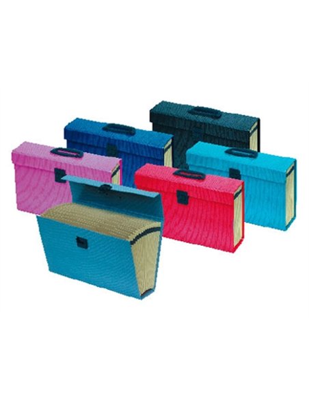 VALISETTE TRIEUR OXFORD CARTON COMPACT 390X255X110MM 16 COMPARTIMENTS KRAFT ÉCRU DOCUMENTS 240X320MM COLORIS NOIR