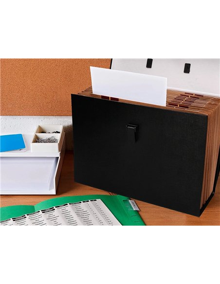 VALISETTE TRIEUR LIDERPAPEL À SOUFFLET 19 COMPARTIMENTS 25.5X390X120MM