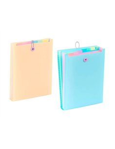 TRIEUR VIQUEL RAINBOW PASTEL POUR SAC A DOS 6 COMPARTIMENTS POLYPROPYLENE A4 25X33X3,5CM 2