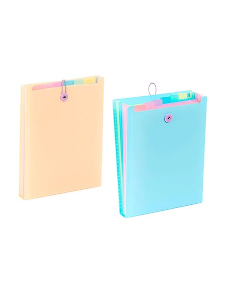 TRIEUR VIQUEL RAINBOW PASTEL POUR SAC A DOS 6 COMPARTIMENTS POLYPROPYLENE A4 25X33X3,5CM