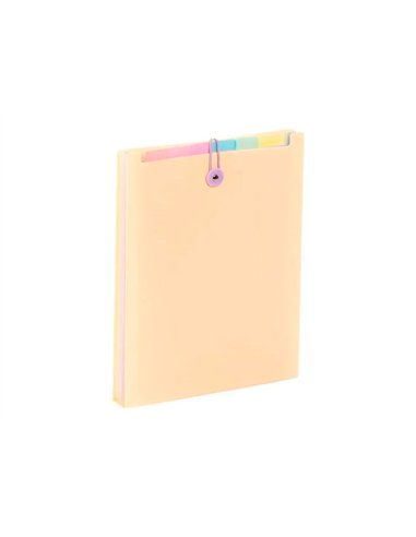 TRIEUR VIQUEL RAINBOW PASTEL POUR SAC A DOS 6 COMPARTIMENTS POLYPROPYLENE A4 25X33X3,5CM