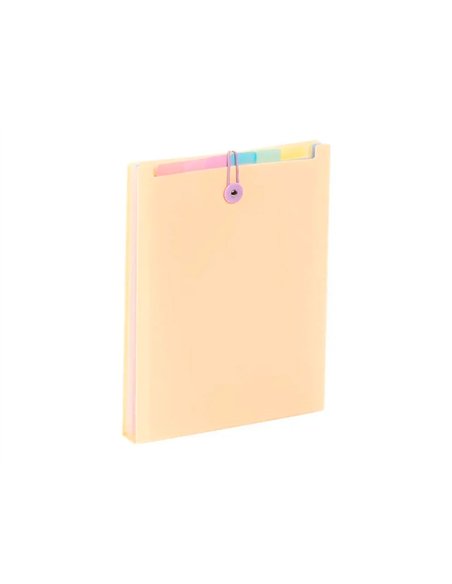 TRIEUR VIQUEL RAINBOW PASTEL POUR SAC A DOS 6 COMPARTIMENTS POLYPROPYLENE A4 25X33X3,5CM