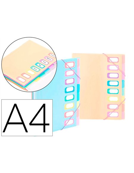 TRIEUR VIQUEL RAINBOW PASTEL 8 COMPARTIMENTS POLYPROPYLENE A4 25.5X32CM COLORIS ASSORTIS PASTEL