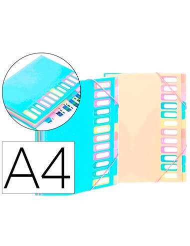 TRIEUR VIQUEL RAINBOW PASTEL 12 COMPARTIMENTS POLYPROPYLENE A4 25.5X32CM  COLORIS ASSORTIS PASTEL