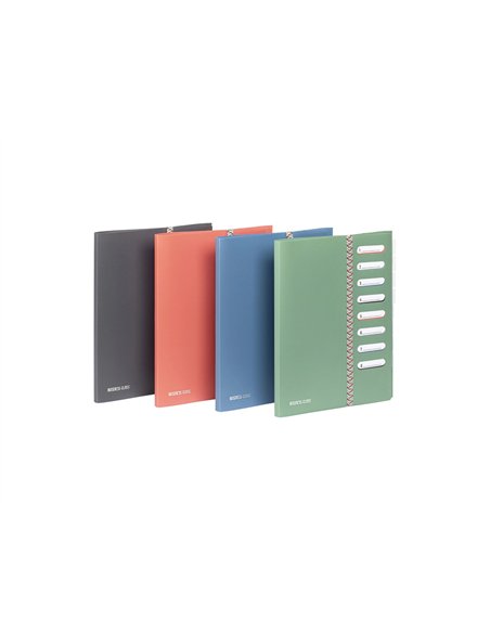 TRIEUR VIQUEL BUSINESS CLASS POLYPROPYLENE A4 8  COMPARTIMENTS COLORIS ALEATOIRE