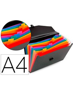 TRIEUR VALISETTE RAINBOW CLASS 12 COMPARTIMENTS  POLYPROPYLENE A4 38X26X6CM  COLORIS NOIR