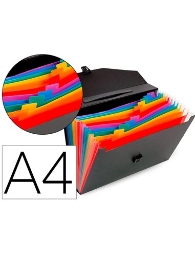 TRIEUR VALISETTE RAINBOW CLASS 12 COMPARTIMENTS  POLYPROPYLENE A4 38X26X6CM  COLORIS NOIR