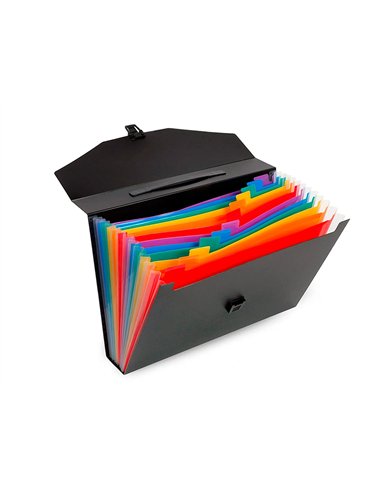 TRIEUR VALISETTE RAINBOW CLASS 12 COMPARTIMENTS  POLYPROPYLENE A4 38X26X6CM  COLORIS NOIR