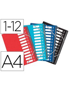 TRIEUR OXFORD TOP FILE+ AGRAFE CARTE MULTISTRAT RESISTANTE  A4 12 POSITIONS NUMERIQUES FERM ELAS COLORIS