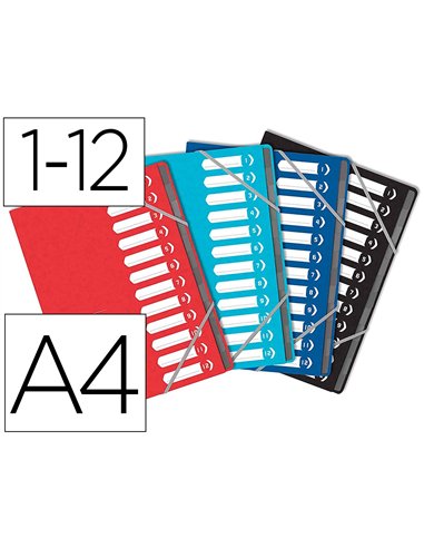 TRIEUR OXFORD TOP FILE+ AGRAFE CARTE MULTISTRAT RESISTANTE  A4 12 POSITIONS NUMERIQUES FERM ELAS COLORIS