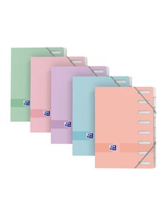 TRIEUR OXFORD A4 12 POSITIONS PP COLORIS ASSORTIS PASTEL  OPAQUE LOT 12 UNITES