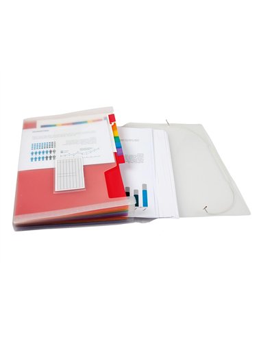 TRIEUR LIDERPAPEL SÉRIE SPECTRAFILE PP 700 MICRONS A5 148X210MM 13 COMPARTIMENTS COULEUR COLORIS FROSTY TRANSPARENT