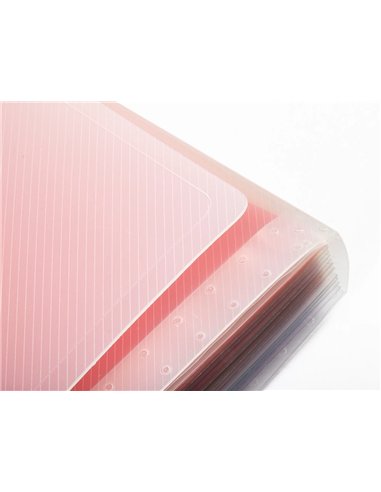 TRIEUR LIDERPAPEL SÉRIE SPECTRAFILE PP 700 MICRONS A5 148X210MM 13 COMPARTIMENTS COULEUR COLORIS FROSTY TRANSPARENT