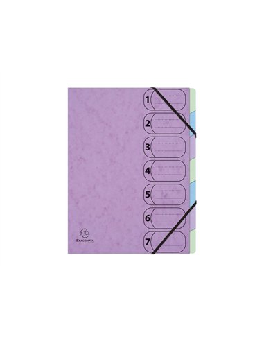 TRIEUR HARMONIKA EXACOMPTA AQUAREL A4 7 COMPARTIMENTS  FERMETURE ELASTIQUE COLORIS ASSORTIS