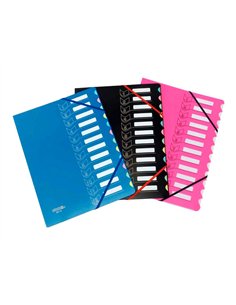 TRIEUR EXTENDOS COUVERTURE BLANCHE IMPRIMEE DOS  EXTENSIBLE. COLORIS BLANC.  FORMAT 24X32CM. 12 CASES 2