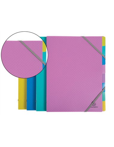 TRIEUR EXACOMPTA POLYPROPYLENE 3 RABATS  FOREVER YOUNG 8 COMPARTIMENTS