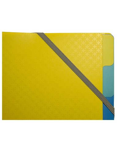 TRIEUR EXACOMPTA POLYPROPYLENE 3 RABATS  FOREVER YOUNG 8 COMPARTIMENTS