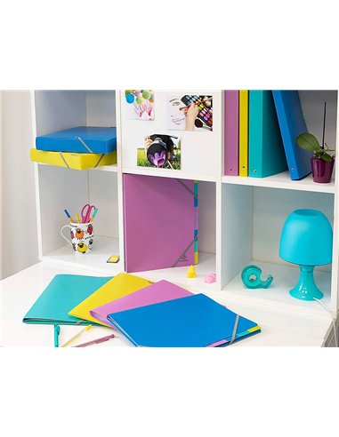 TRIEUR EXACOMPTA POLYPROPYLENE 3 RABATS  FOREVER YOUNG 8 COMPARTIMENTS