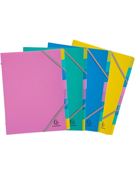 TRIEUR EXACOMPTA POLYPROPYLENE 3 RABATS  FOREVER YOUNG 8 COMPARTIMENTS