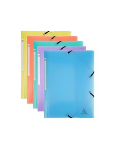 TRIEUR EXACOMPTA POLYPROPYLENE 3 RABATS  CHROMALINE PASTEL 6  COMPARTIMENTS 2