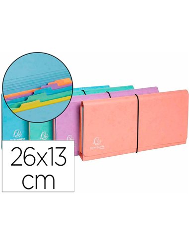 TRIEUR EXACOMPTA POCKET 6 COMPARTIMENTS CARTE LUSTREE 26X13CM COLORIS AQUAREL ASSORTIS BLEU CORAIL MAUVE