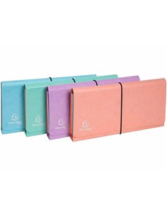 TRIEUR EXACOMPTA POCKET 6 COMPARTIMENTS CARTE LUSTREE 26X13CM COLORIS AQUAREL ASSORTIS BLEU CORAIL MAUVE 2