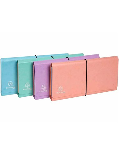TRIEUR EXACOMPTA POCKET 6 COMPARTIMENTS CARTE LUSTREE 26X13CM COLORIS AQUAREL ASSORTIS BLEU CORAIL MAUVE